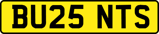 BU25NTS
