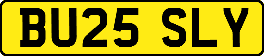 BU25SLY