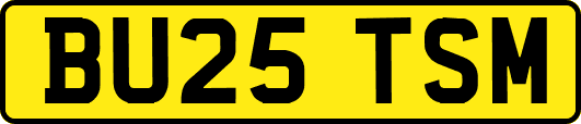 BU25TSM
