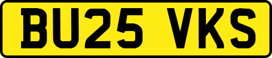 BU25VKS