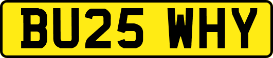 BU25WHY