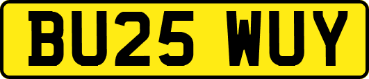 BU25WUY
