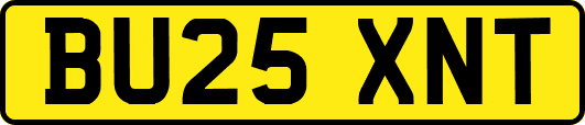 BU25XNT