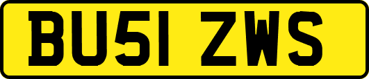 BU51ZWS