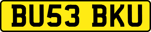 BU53BKU