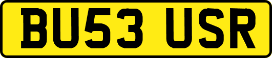 BU53USR