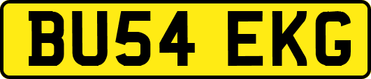 BU54EKG