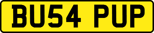 BU54PUP