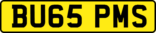 BU65PMS