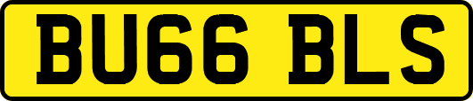 BU66BLS