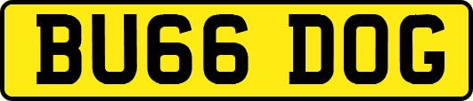 BU66DOG