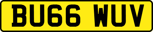 BU66WUV