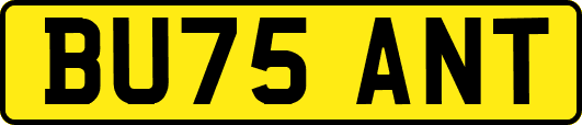 BU75ANT