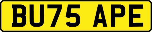 BU75APE