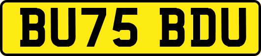 BU75BDU