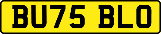 BU75BLO