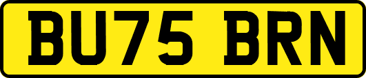 BU75BRN