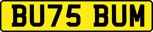 BU75BUM