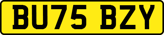 BU75BZY
