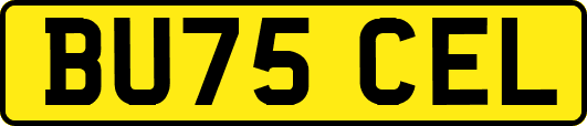 BU75CEL
