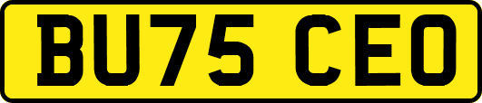BU75CEO