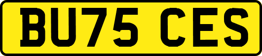 BU75CES