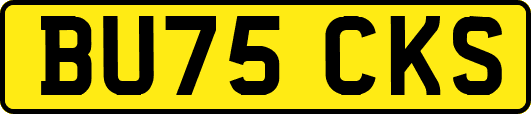 BU75CKS