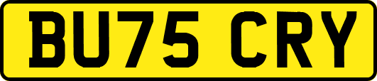 BU75CRY