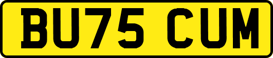 BU75CUM