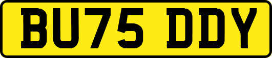 BU75DDY