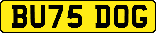 BU75DOG