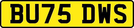 BU75DWS