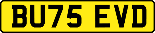BU75EVD