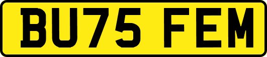 BU75FEM