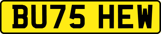 BU75HEW
