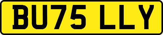 BU75LLY