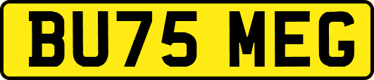 BU75MEG