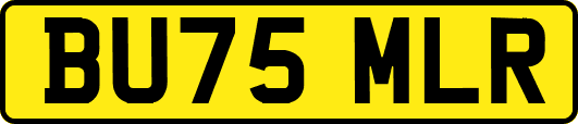 BU75MLR