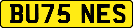 BU75NES