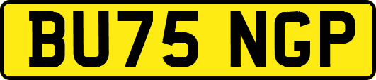 BU75NGP