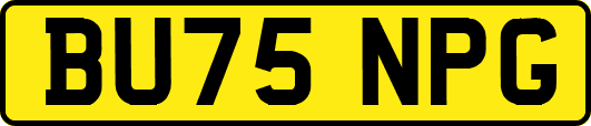 BU75NPG