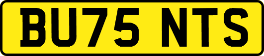 BU75NTS