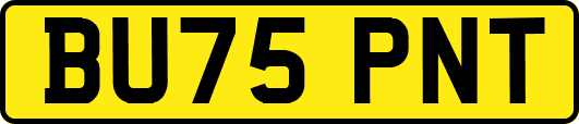 BU75PNT