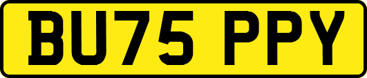 BU75PPY