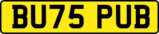 BU75PUB