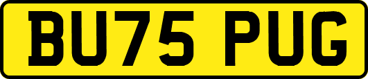 BU75PUG