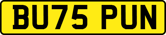 BU75PUN