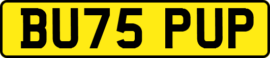 BU75PUP
