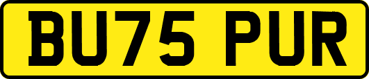 BU75PUR