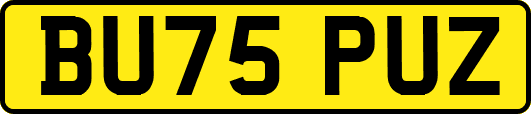 BU75PUZ